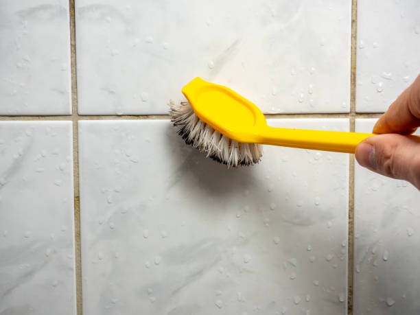 Best Commercial Mold Removal  in Tariffville, CT