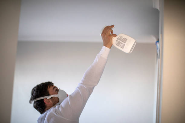 Best Fast Mold Removal  in Tariffville, CT