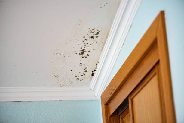 Water Damage Restoration in Tariffville, CT