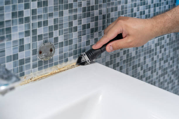Reliable Tariffville, CT Mold Removal Solutions