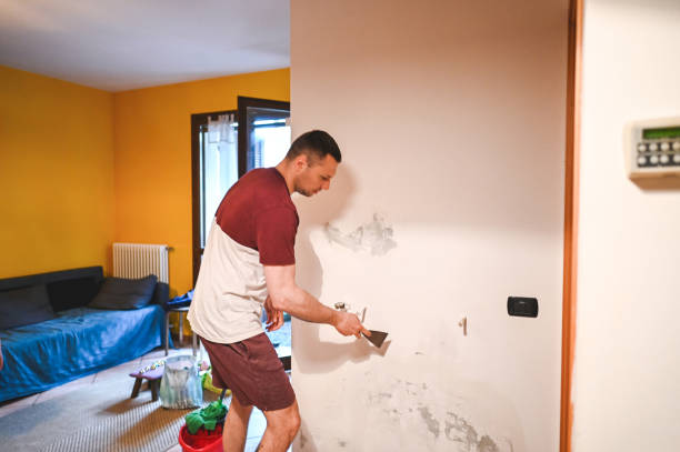 Best Home Mold Removal  in Tariffville, CT